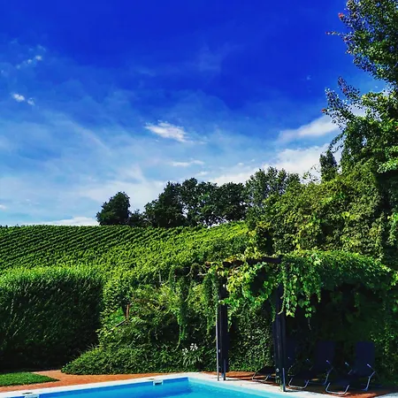 Hotel Sattlerhof Geniesserhotel & Weingut 4*