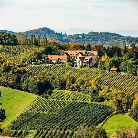 Sattlerhof Genießerhotel&weingut Hotel 4*
