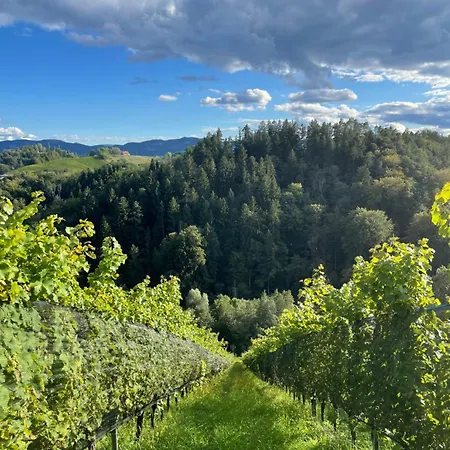 Hotel Sattlerhof Geniesserhotel & Weingut