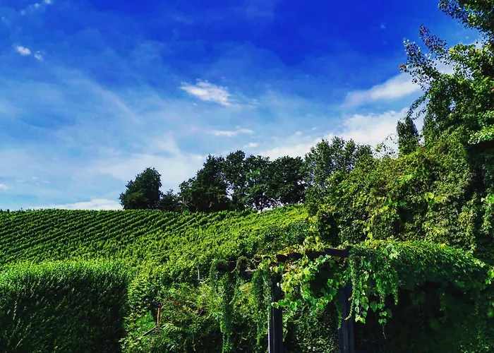 Hotel Sattlerhof Geniesserhotel & Weingut 4*