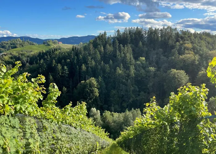 فندق Sattlerhof Geniesserhotel & Weingut